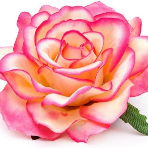 Accessories - 🎇New🎇Rose Pin Up - Hair Clip (Pink & Cream)